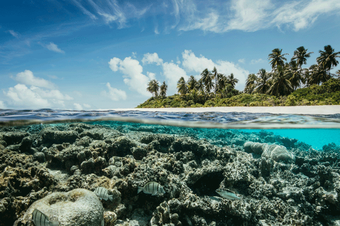 Robinson Maldives Meer