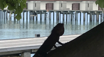 Robinson Maldives Blick